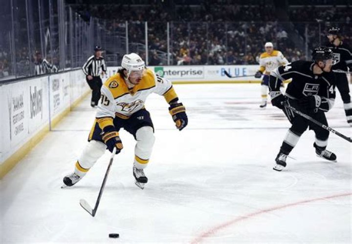 Matt Duchene Bio (Wiki) 