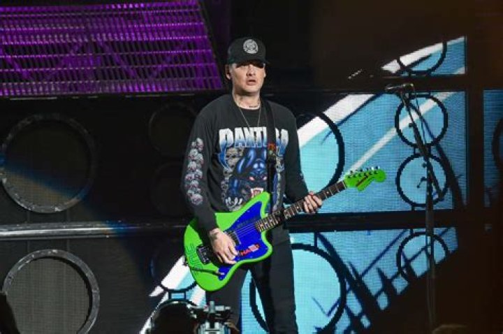 Matt Skiba Bio (Wiki) 