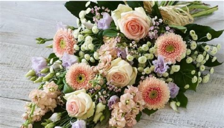 Max Verbeek Accident Linked To Death Cause: Obituary