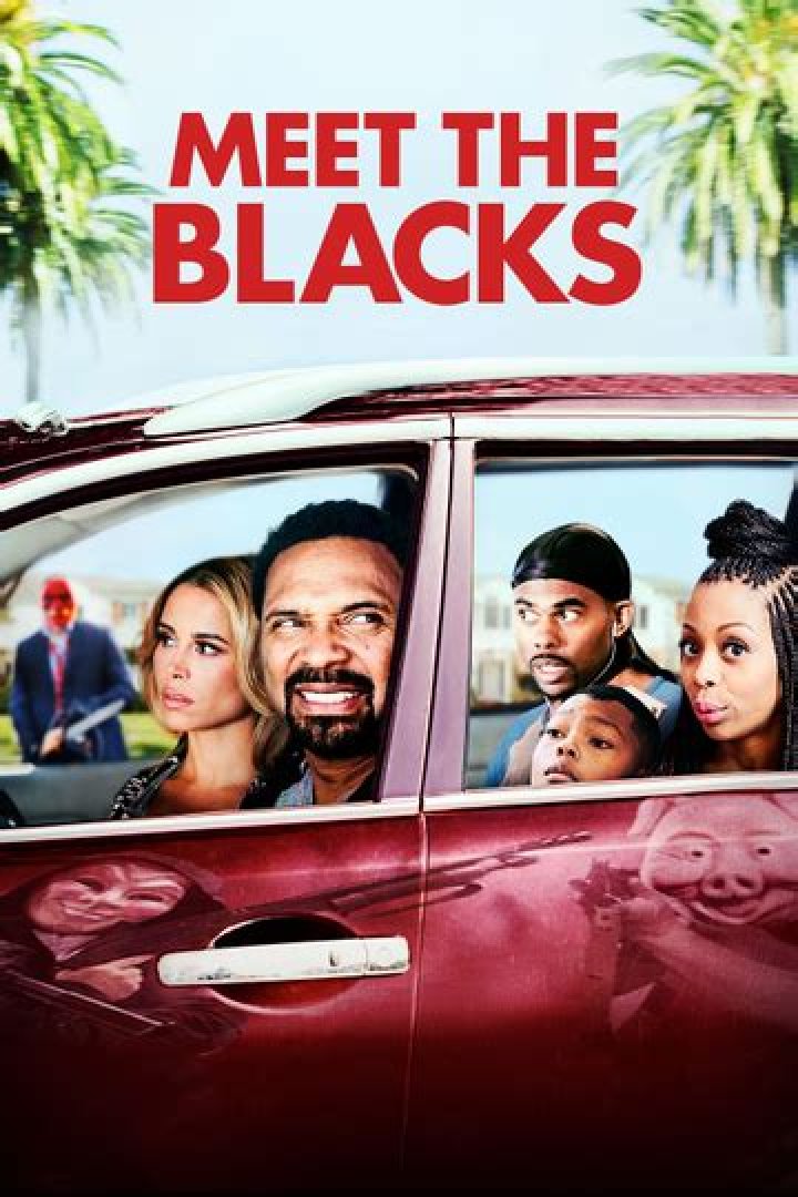 Meet the Blacks 2 on Netflix?