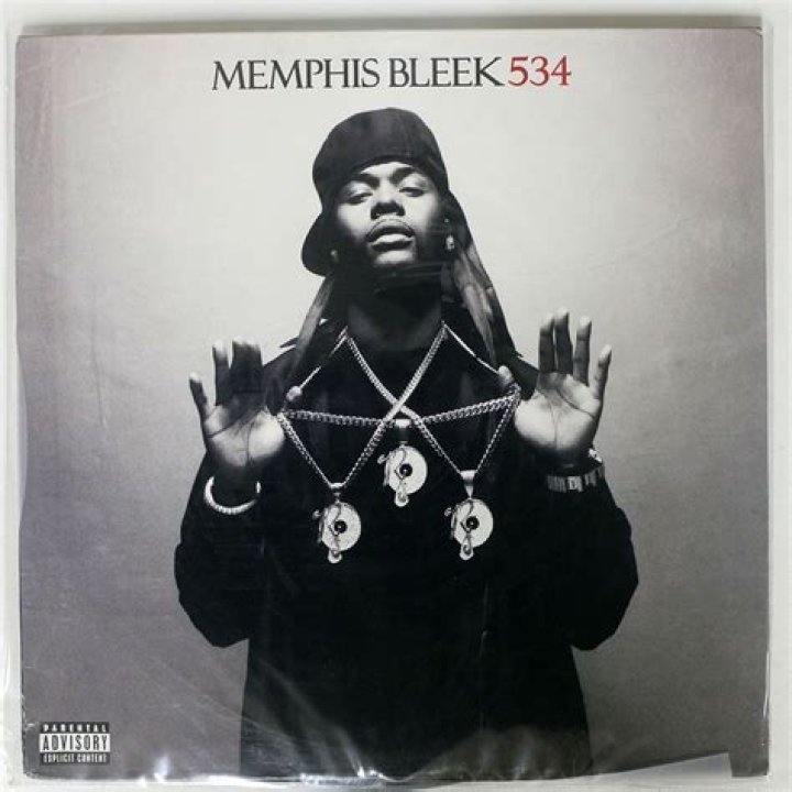 Memphis Bleek Bio (Wiki) 