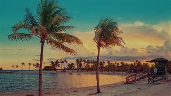Miami Shore Excursions & Cruise Excursions