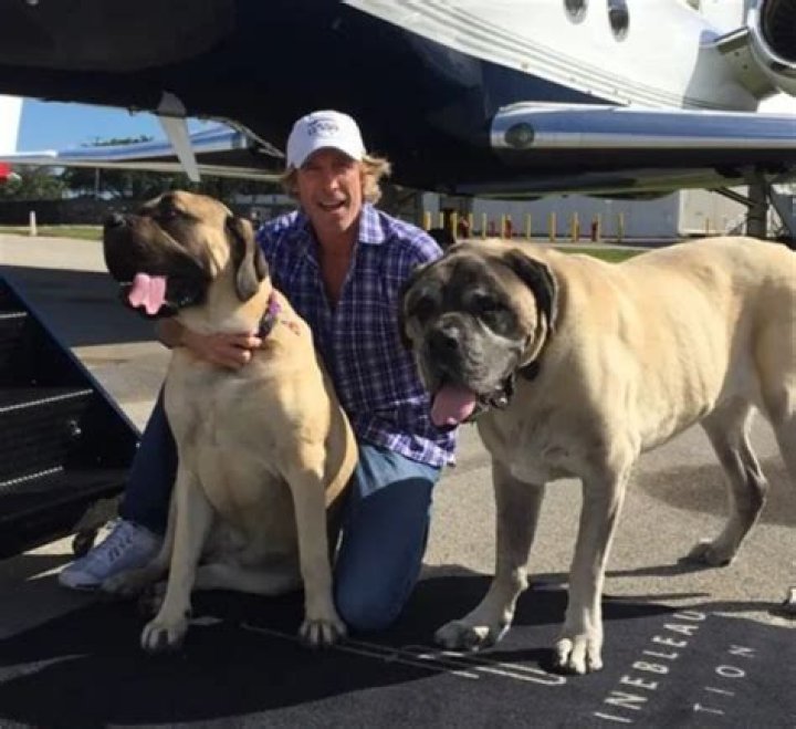 Michael Bay Pets - Celebrity Pets