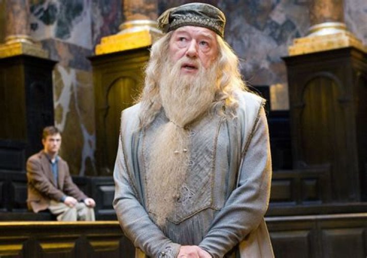 Michael Gambon Hair Loss: Did Dumbledore Actor Suffer From Alopecia And Wear Wig?