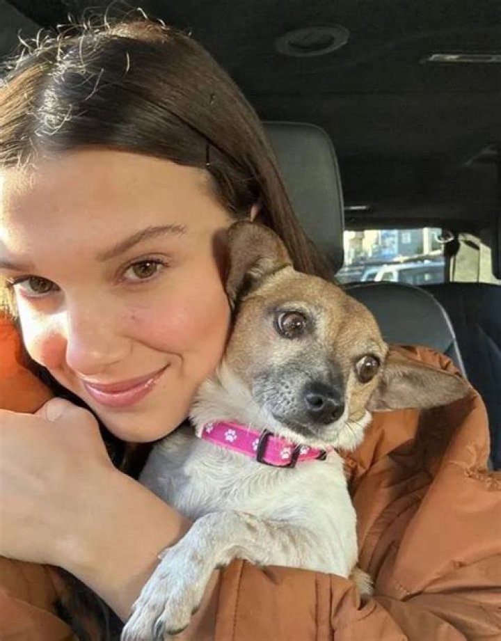 Millie Bobby Brown Pets - Celebrity Pets