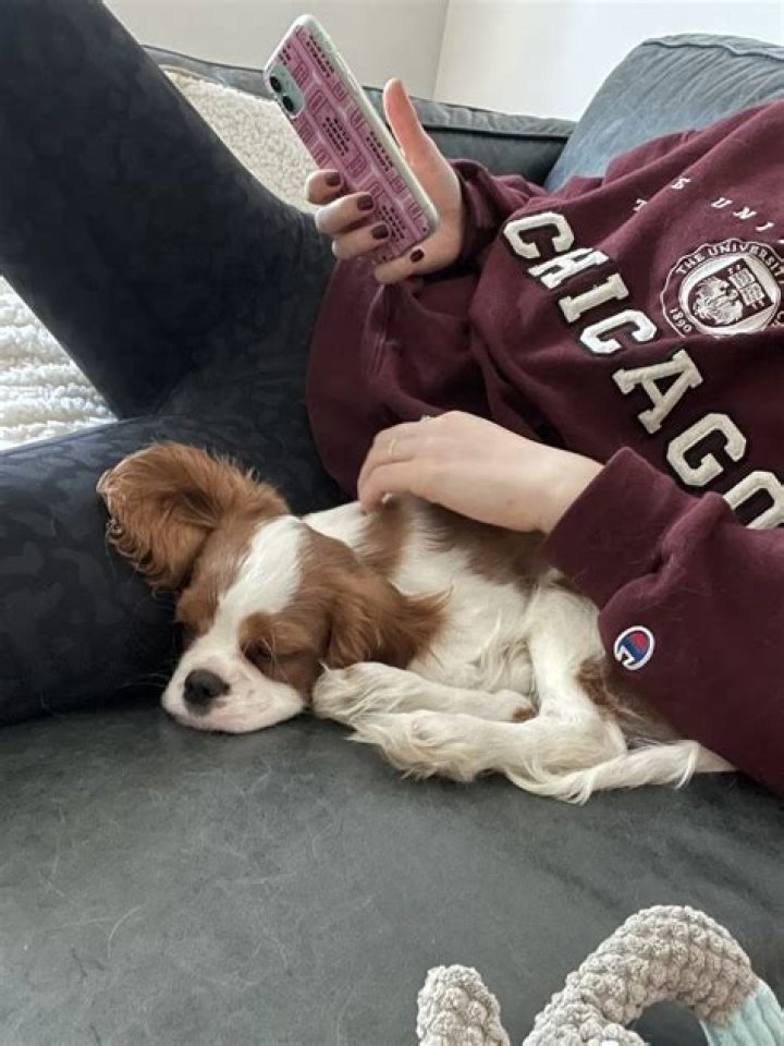 Milo Manheim Pets - Celebrity Pets