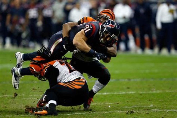 Nate Clements Net Worth - Wiki, Age, Weight and Height, Relationships, Family, and More