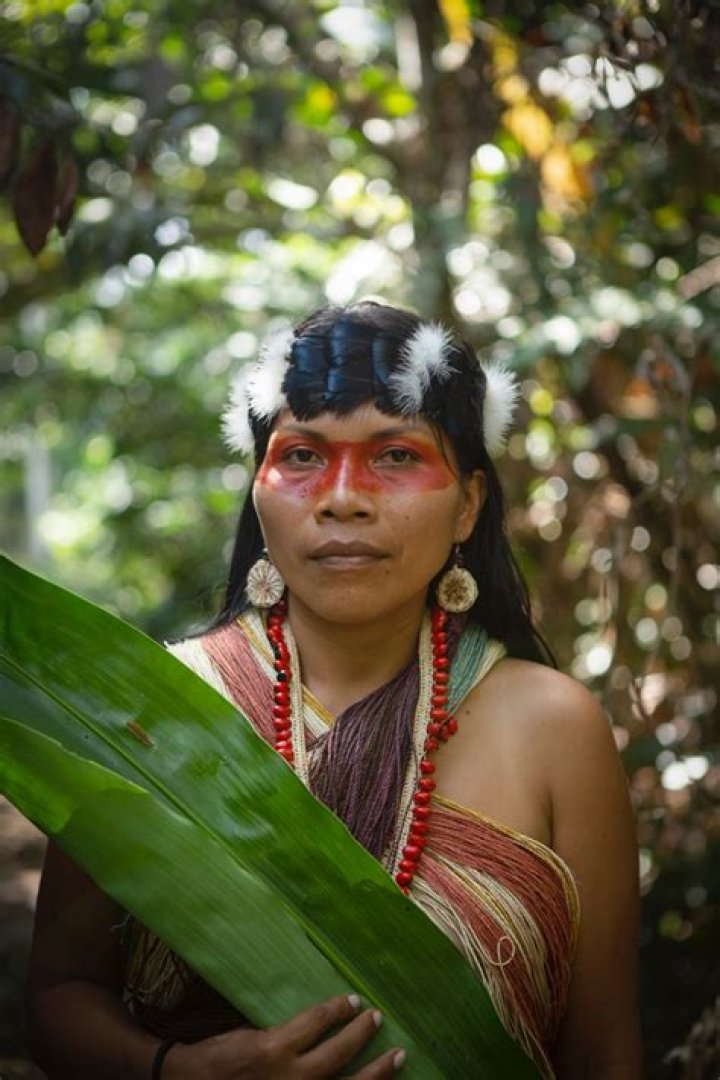 
Nemonte Nenquimo Height, Weight, Net Worth, Age, Birthday, Wikipedia, Who, Instagram, Biography 