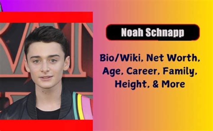 Noah Schnapp Height, Weight, Net Worth, Age, Birthday, Wikipedia, Who, Nationality, Biography