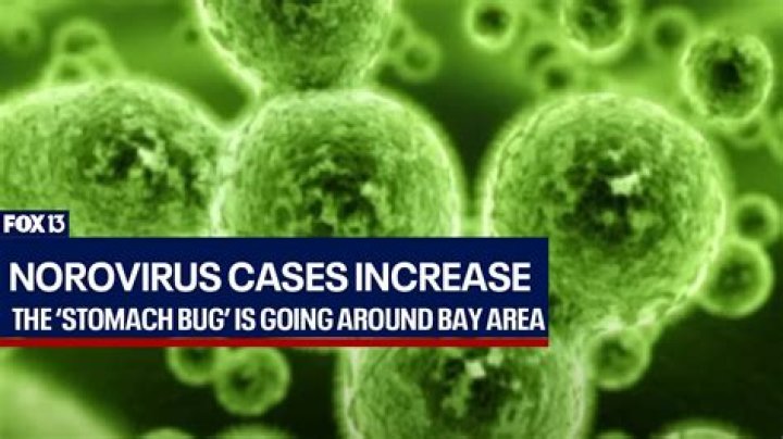 
Norovirus Outbreak Shuts Down Livonia School: The Stomach Bug Strikes 