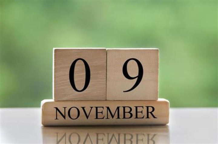 November 9 Birthdays By Profession