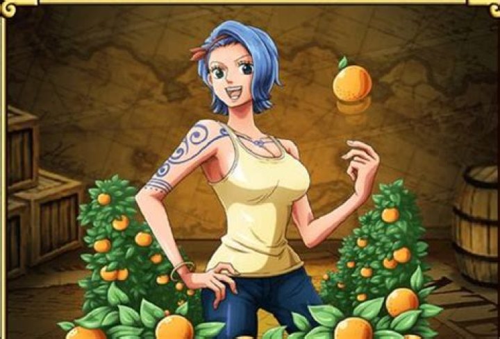 One Piece Nami Sister Name Nojiko Parents And Brother