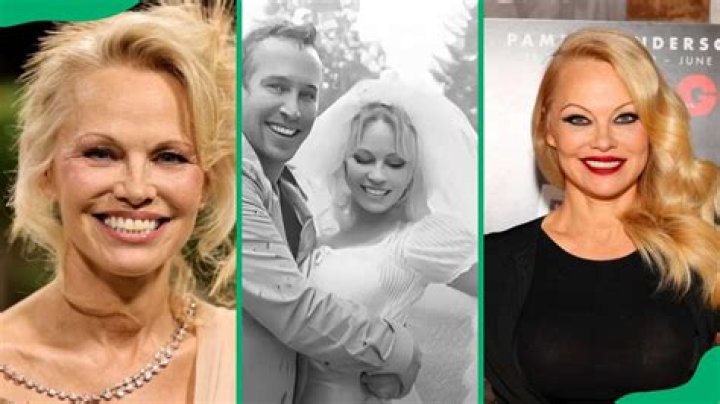 Pamela Anderson Married to her bodyguard Dan Hayhurst. Who is Dan Hayhurst? Also read their Age difference, Net worth