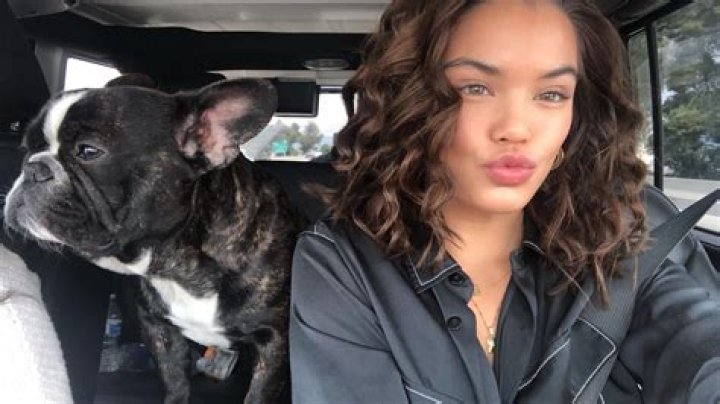 Paris Berelc Pets - Celebrity Pets