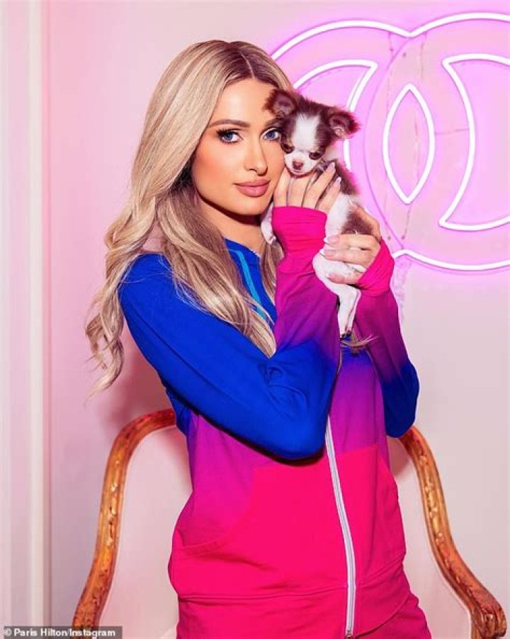 Paris Hilton bought a new teacup Chihuahua for $8,000, still hasn’t named her