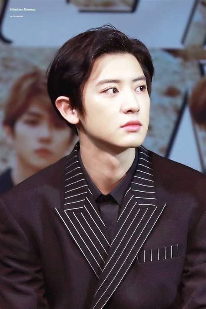 Park Chanyeol Bio (Wiki) 