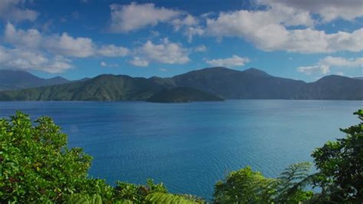 Picton, New Zealand Shore Excursions & Cruise Excursions