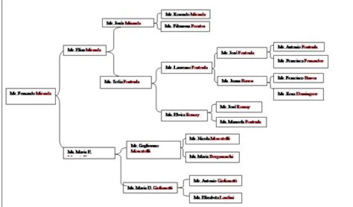 Piero Lardi Ferrari – Family, Family Tree