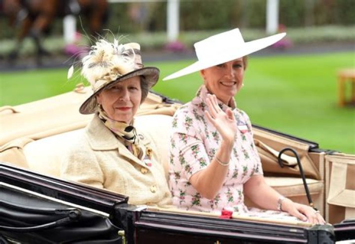 Princess Anne was authorized to wear a feathered hat to block Prince Harry