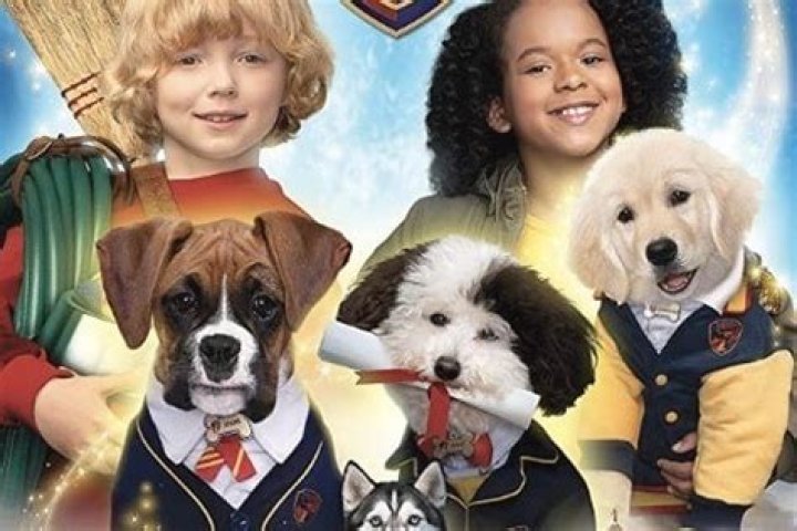 Pup Academy - Cast, Ages, Trivia