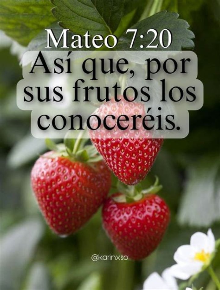 ¿Qué significa la frase “por sus frutos los conoceréis” en Mateo 7:16?