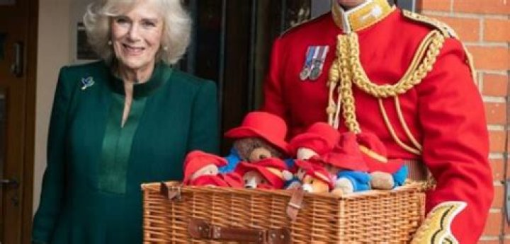 Queen Camilla awkwardly passed out Paddington Bears to nursery school kids
