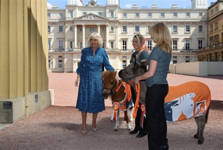 Queen Camilla wore a custom Fiona Clare dress to the Sandringham Flower Show