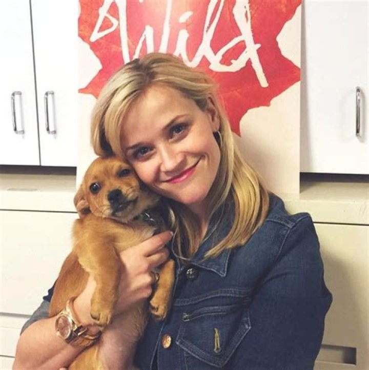 Reese Witherspoon Pets - Celebrity Pets