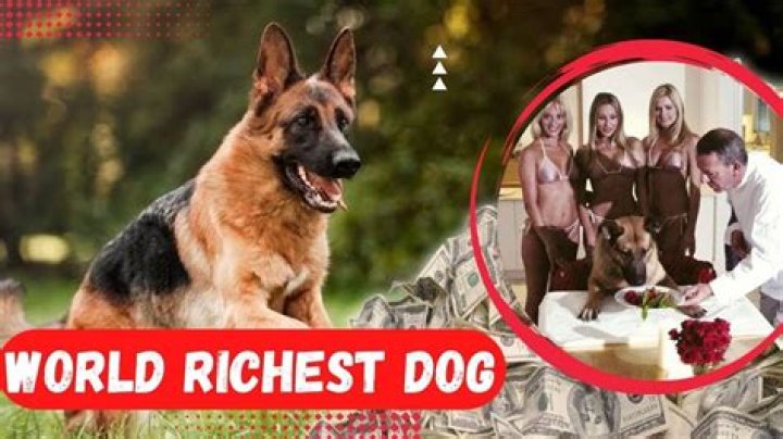 Richest Animal Trainers of all time