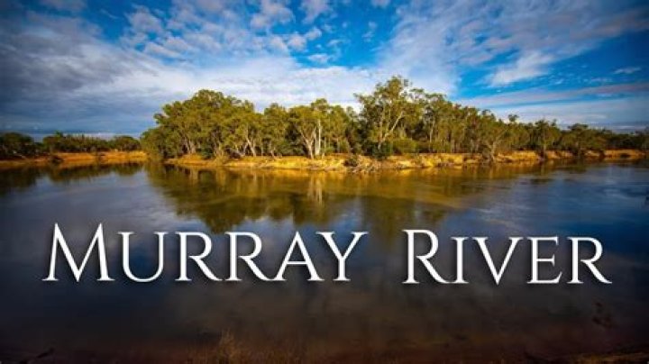 River James Murray Bio (Wiki) 