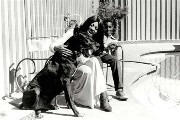 Ronnie Turner - Trivia, Family, Bio