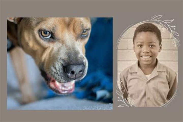 Sabrina Kennedy Tells Us About The Time She was Humped by a Pit Bull