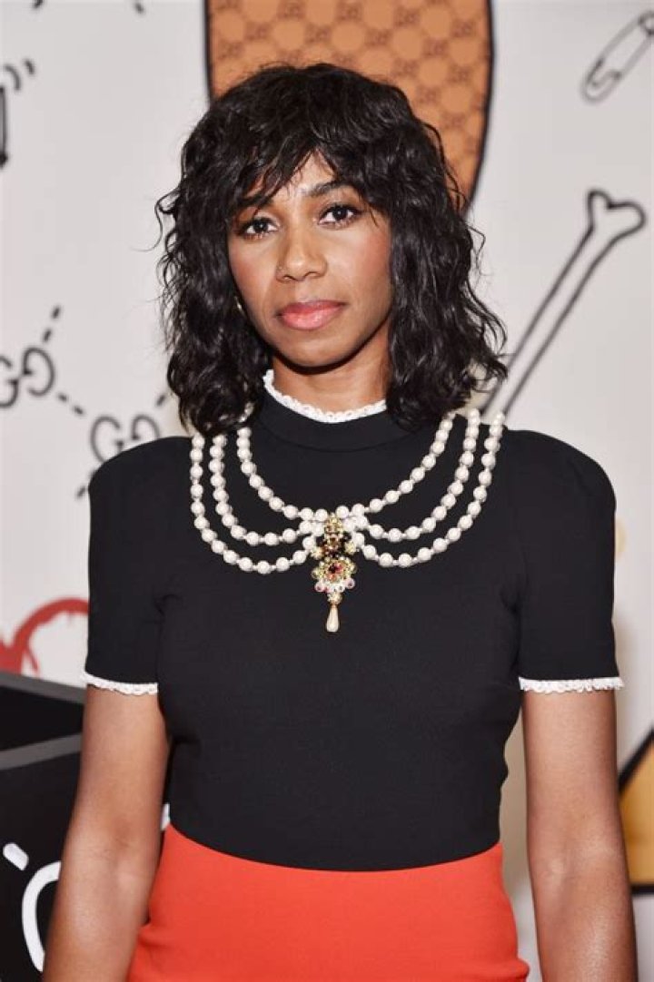 Santigold Net Worth - Wiki, Age, Weight and Height, Relationships, Family, and More