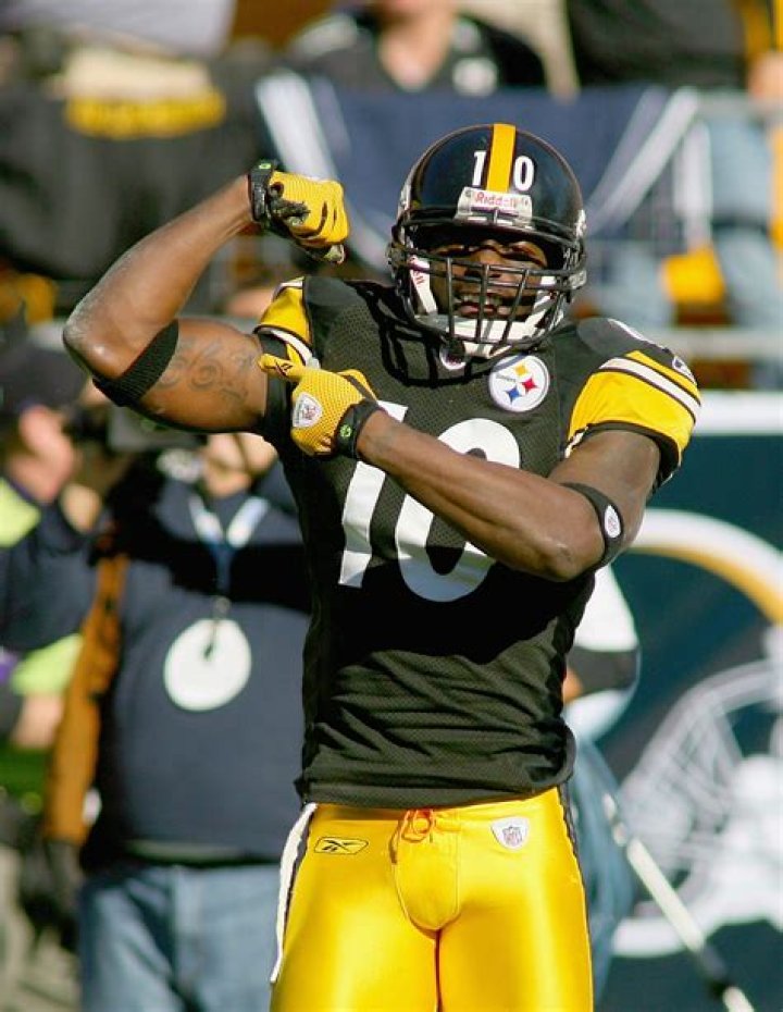 Santonio Holmes Net Worth - Wiki, Age, Weight and Height, Relationships, Family, and More