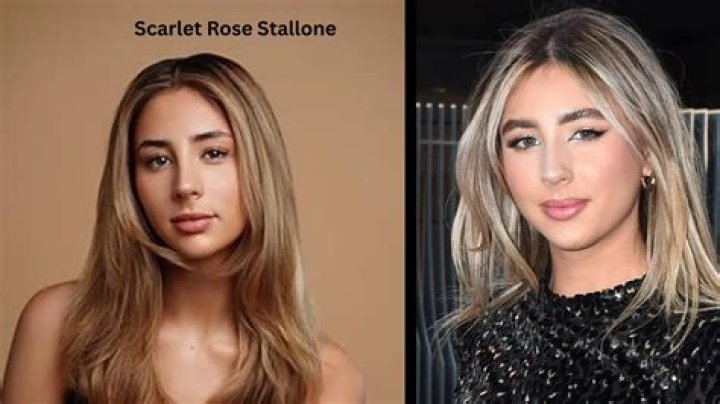 Scarlet Rose Stallone Bio (Wiki) 