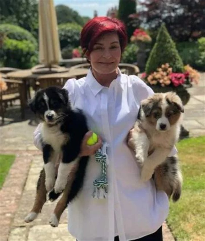 Sharon Osbourne Pets - Celebrity Pets