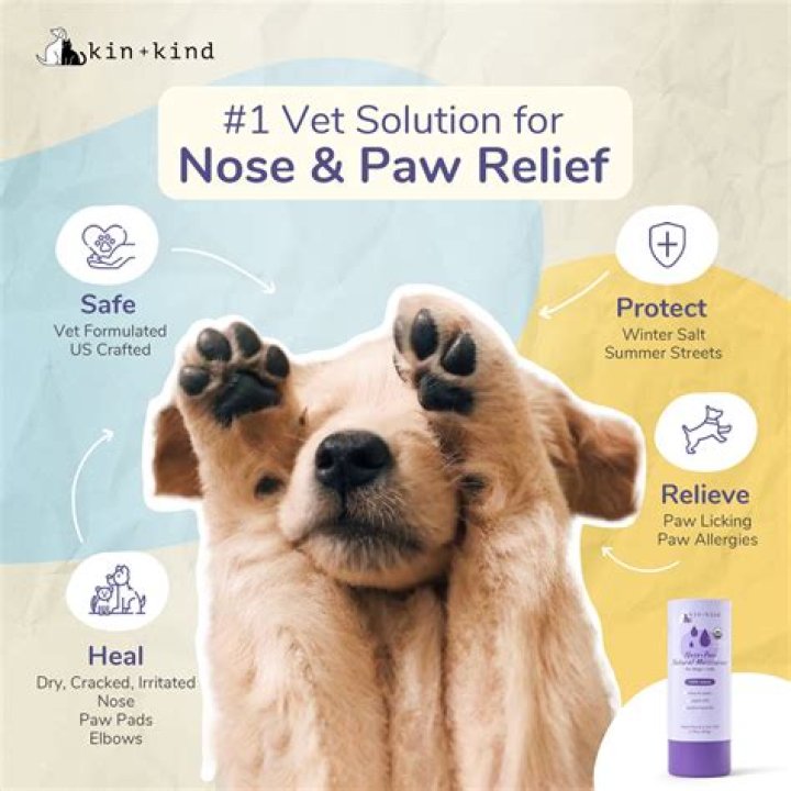 Should you moisturize a dog paws?