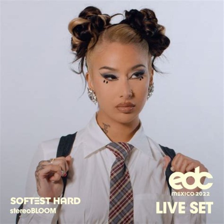 Softest Hard - Age, Family, Bio