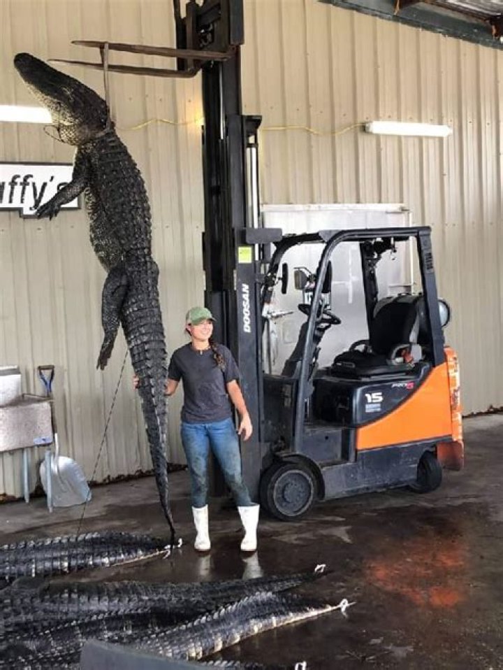 Steve Strope Height, Weight, Net Worth, Age, Birthday, Wikipedia, Who, Nationality, Biography