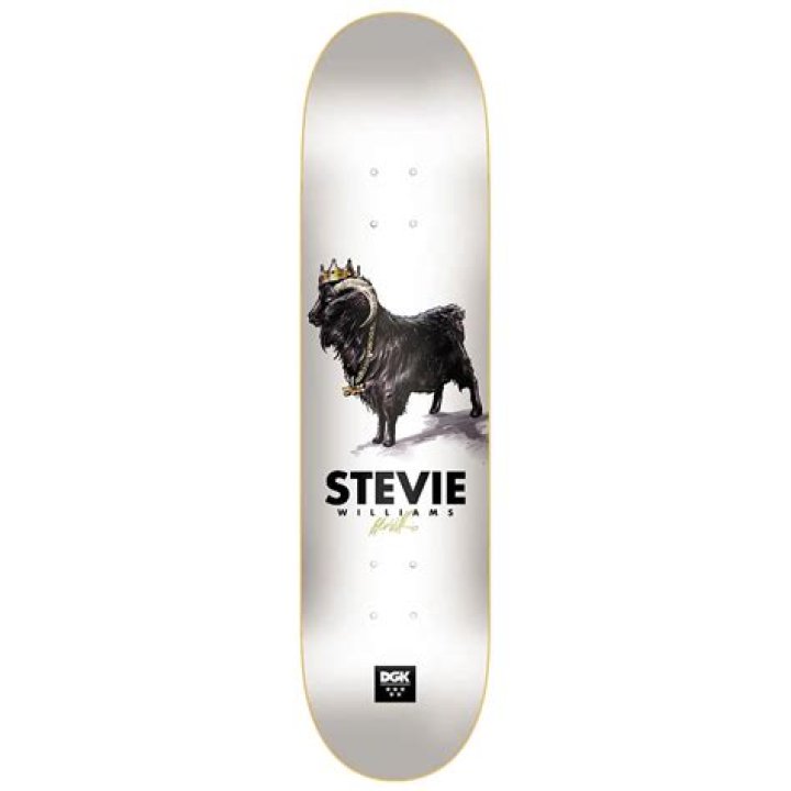 Stevie Williams - Age, Family, Bio