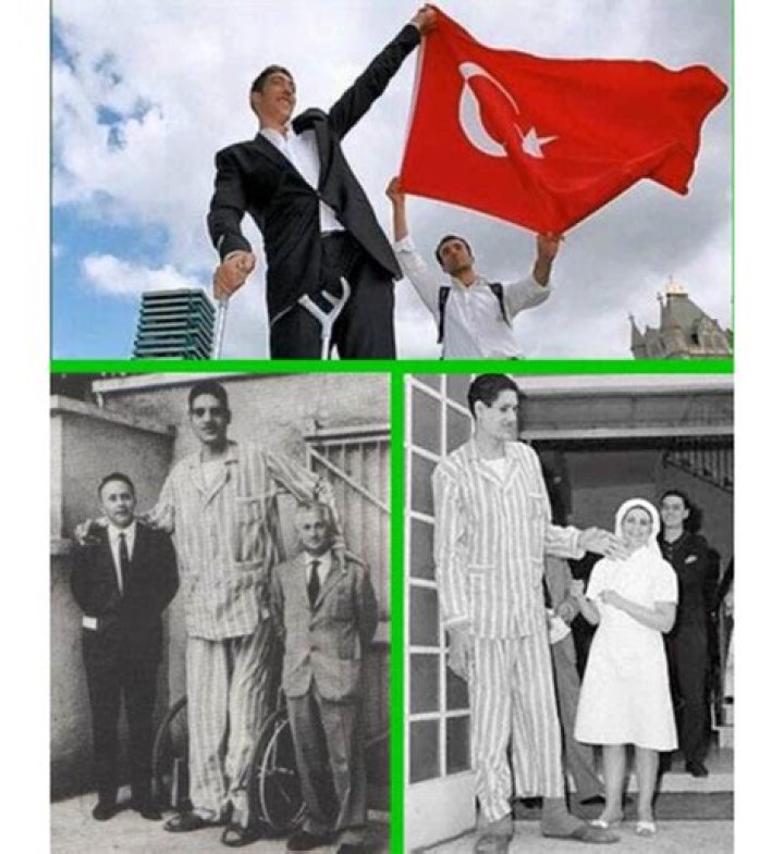 
Suleiman Ali Nashnush Height, Weight, Net Worth, Age, Birthday, Wikipedia, Who, Nationality, Biography 