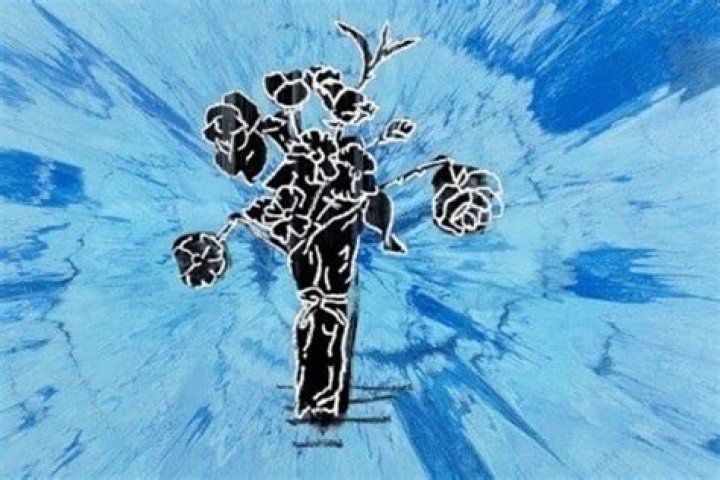 Supermarket Flowers - Artist, Ages, Trivia