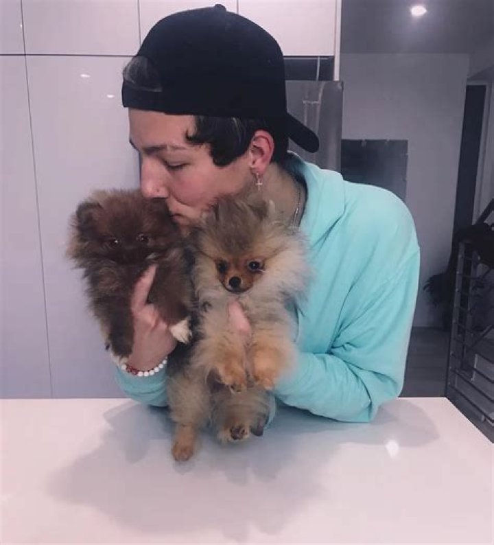 Tayler Holder Pets - Celebrity Pets