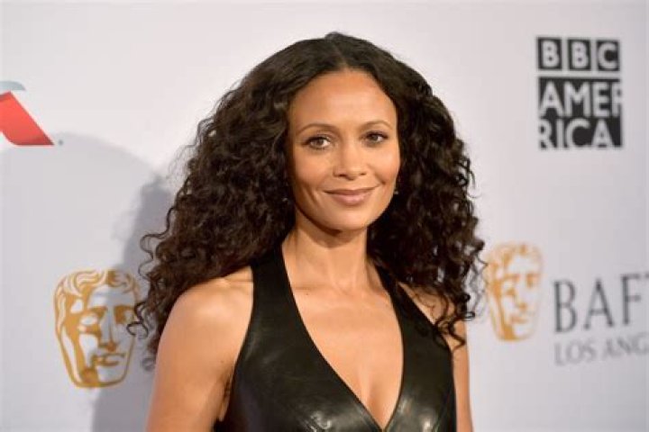 Thandie Newton Net Worth - Wiki, Age, Weight and Height, Relationships, Family, and More