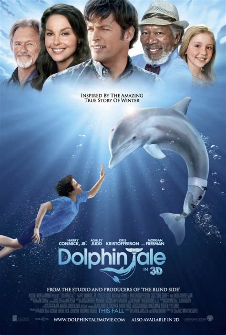 
The Dolphin Tale: Is It Based On True Story? The Dolphin Tale’s Story, Cast, Actors and Movie Details. 