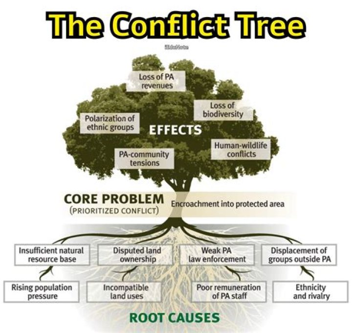 
The final post-Eviction tree causes nostalgia 