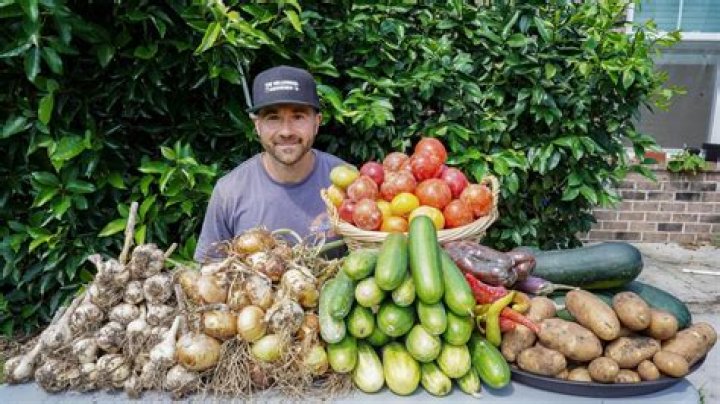 The Millennial Gardener Youtuber overview