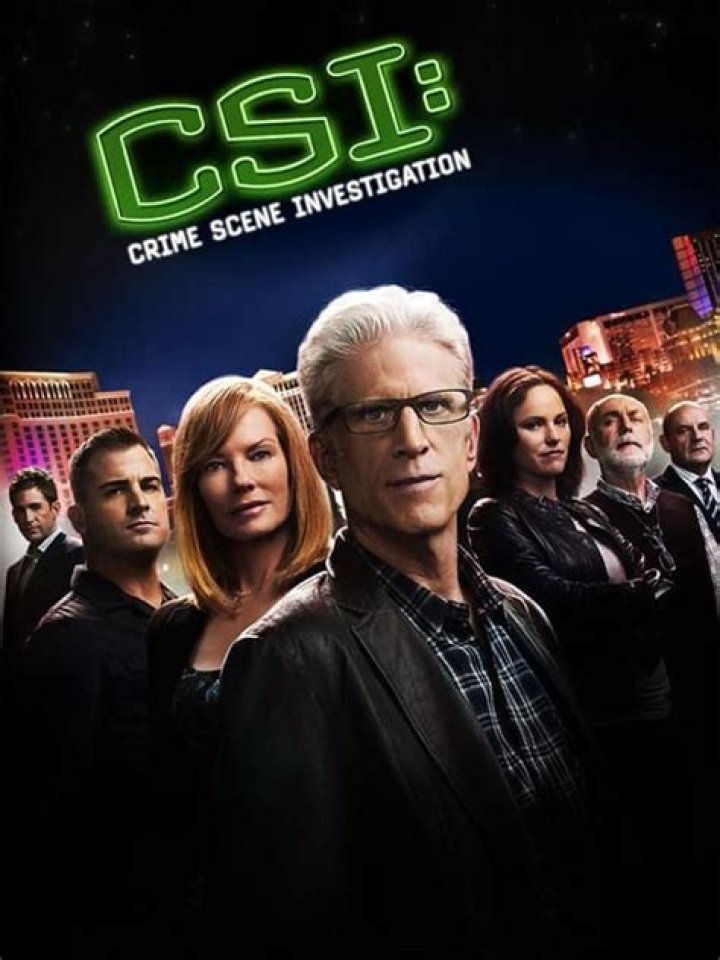 The role of researchers, David Berman and Jon Wellner on the popular TV series CSI: Crime Scene Investigation