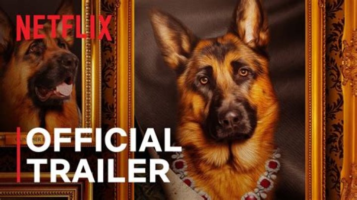 The world’s richest dog is getting a documentary series on Netflix