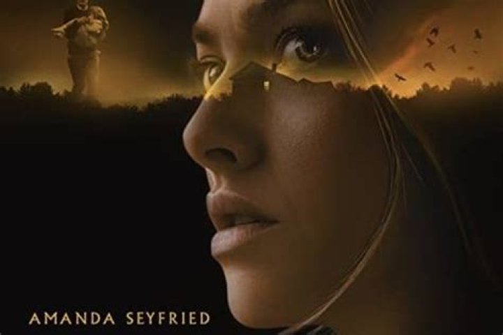 Things Heard & Seen - Cast, Ages, Trivia